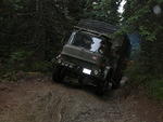 Whipsaw Oct 2009 039.JPG