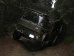 Whipsaw Oct 2009 040.JPG