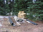 Whipsaw Oct 2009 048.JPG