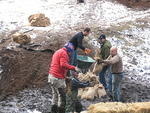 Whipsaw Oct 2009 060.JPG