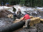 Whipsaw Oct 2009 064.JPG