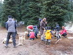 Whipsaw Oct 2009 070.JPG