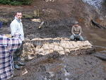 Whipsaw Oct 2009 073.JPG
