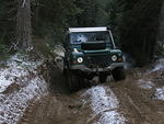 Whipsaw Oct 2009 075.JPG