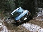 Whipsaw Oct 2009 079.JPG