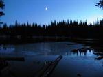 Whipsaw Oct 2009 087.JPG