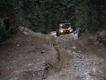 Whipsaw Oct 2009 094.JPG