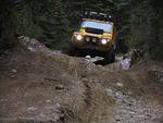 Whipsaw Oct 2009 095.JPG