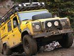 Whipsaw Oct 2009 097.JPG