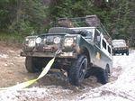 Whipsaw Oct 2009 100.JPG
