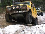 Whipsaw Oct 2009 101.JPG