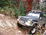 Whipsaw Oct 2009 117.JPG