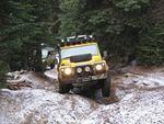 Whipsaw Oct 2009 129.JPG