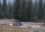 Whipsaw Oct 2009 138.JPG
