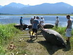 11 Positioning the inflated bags 3 on each side.JPG