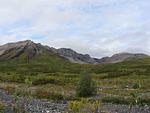 the view around, still in the Barrens we are about to desend into the valley where there are trees