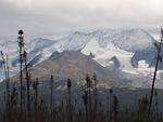 fresh snow south canol