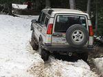 Bill Eastwood's Rover Ranch Photos 2010 022.jpg
