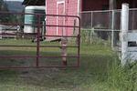 Rover Ranch 2010 07.JPG