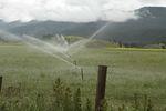Rover Ranch_2010_07_04 (5).JPG