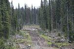 Rover Ranch 2010 07 (44).JPG