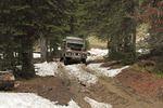 Rover Ranch 2010 07 (54).JPG