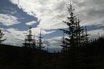 Rover Ranch 2010 07 (56).JPG