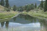 Rover Ranch 2010 07 (66).JPG