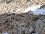 Pemberton - July 2010 096