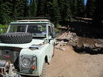 Whipsaw July 2010 019