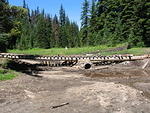 Whipsaw July 2010 024