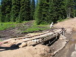 Whipsaw July 2010 026