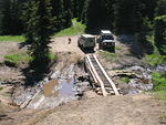 Whipsaw July 2010 031
