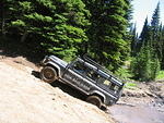 Whipsaw July 2010 038