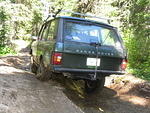 Whipsaw July 2010 042