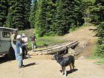 Bill Eastwood's Whipsaw Bridge Completion Photo July 2010 011.jpg