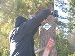 Whipsaw BBQ Oct 2010 004