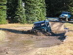 Whipsaw BBQ Oct 2010 023