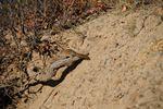 DSC_0779.JPG
