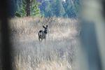 DSC_0787.JPG