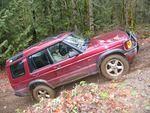 013 Clawing in the mud.JPG