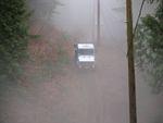 018 Mog in the Fog.JPG