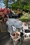 IMG_2331_2.jpg