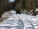 Mystery Creek Run Feb 2011 017