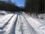 Mystery Creek Run Feb 2011 051