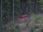 Mystery Creek Run Feb 2011 068