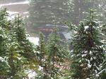 IMG_1136.JPG