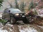 IMG_1139.JPG