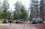 Whipsaw Oct 2011 018