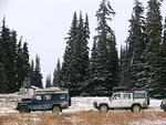 Whipsaw Oct 2011 023